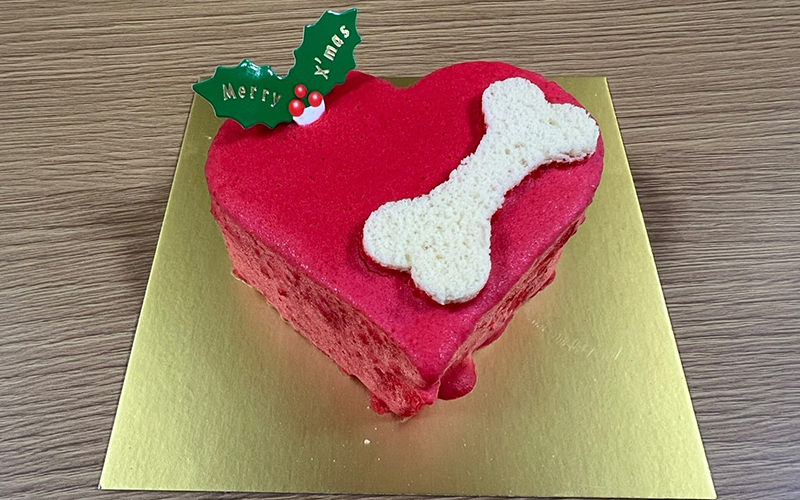 今日は楽しいXmasパーティー