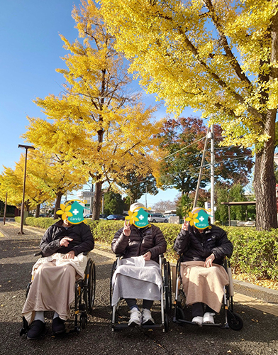 芸術の森公園に行ってきました