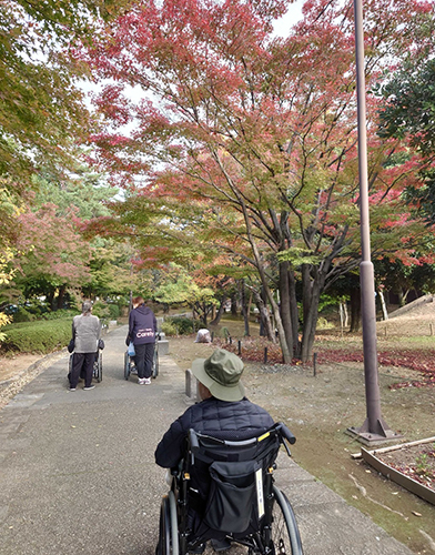 芸術の森公園に行ってきました