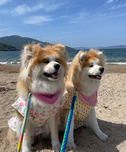 ケアリー長浜下坂中の地鎮祭を行いました。
