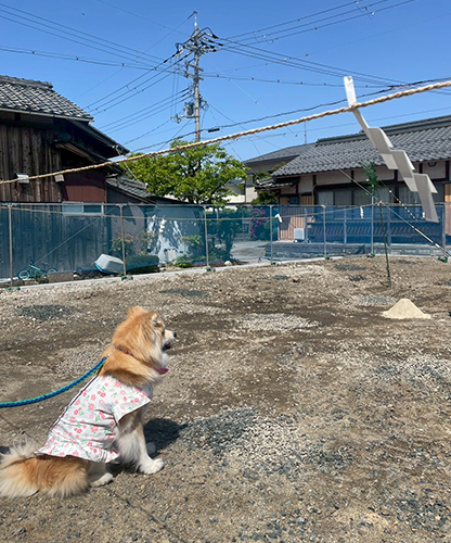 ケアリー長浜下坂中の地鎮祭を行いました。