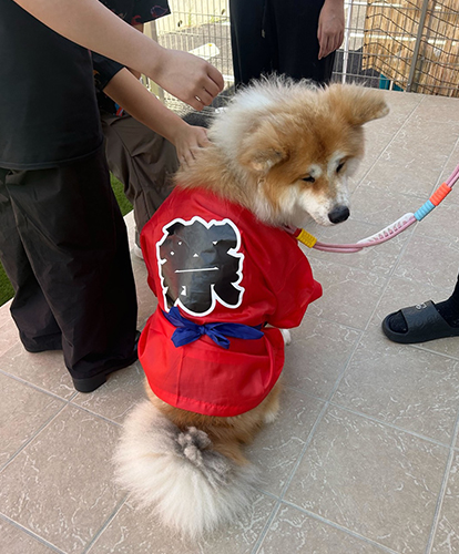 仙台折立 夏祭り