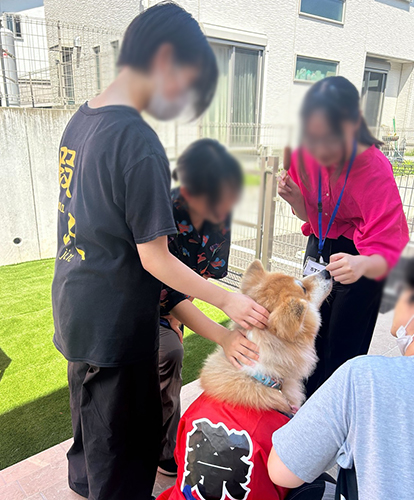 仙台折立 夏祭り