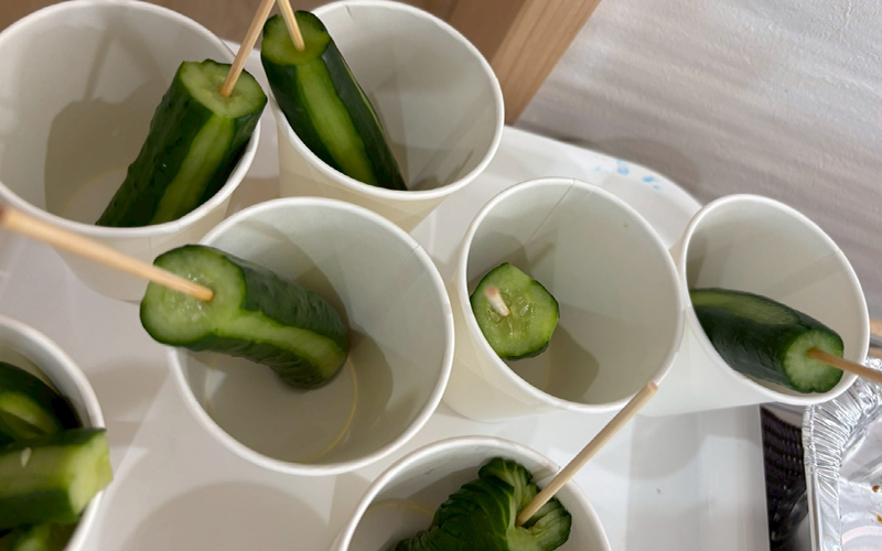 夏祭り＆8月お誕生日会 width=