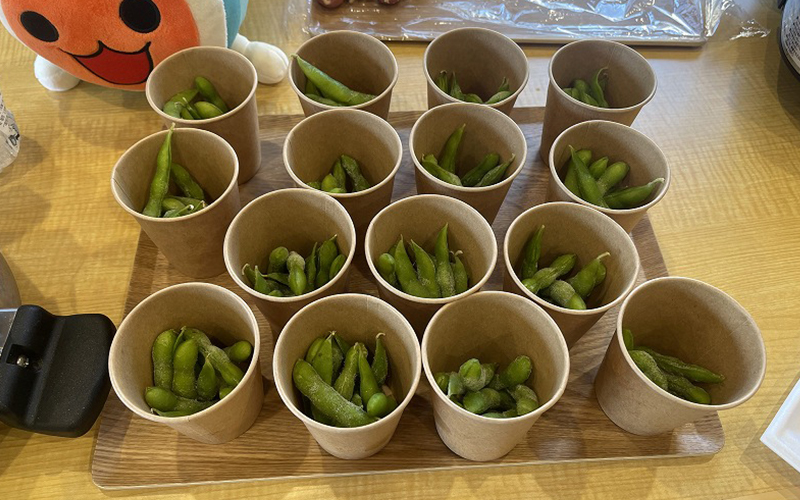 夏祭り屋台ケアリー