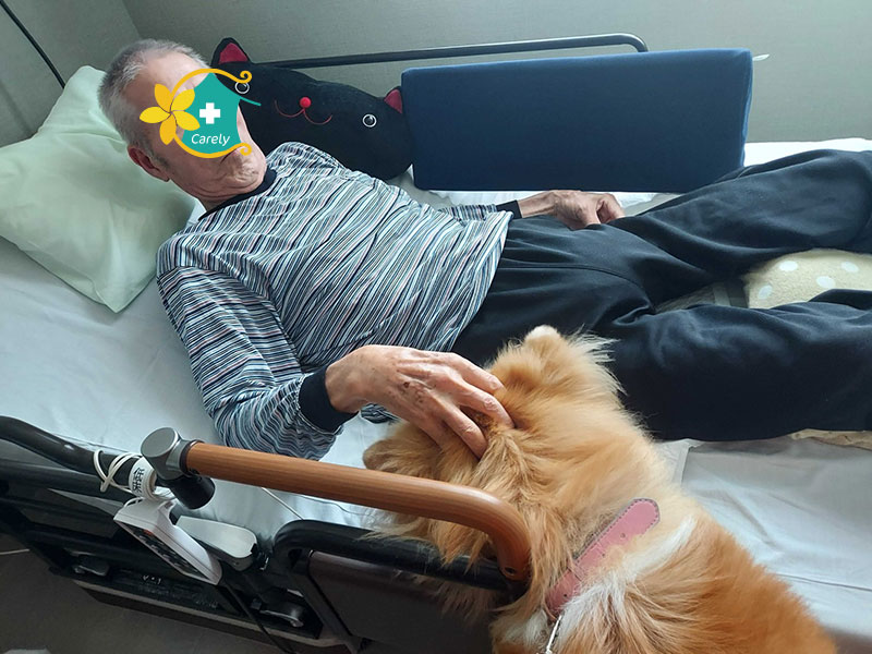 セラピー犬けありーちゃん大活躍