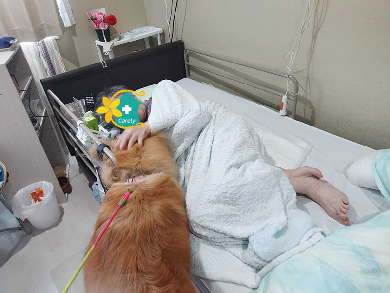 セラピー犬けありーちゃん大活躍