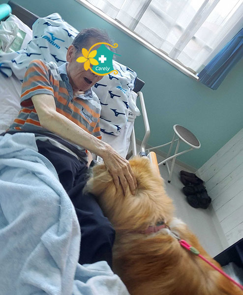 セラピー犬けありーちゃん大活躍