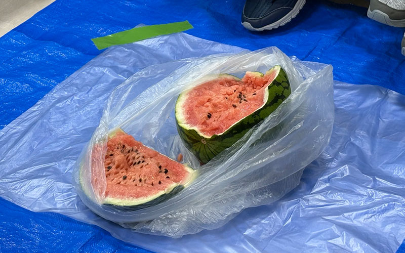 夏のスイカ割を行いました