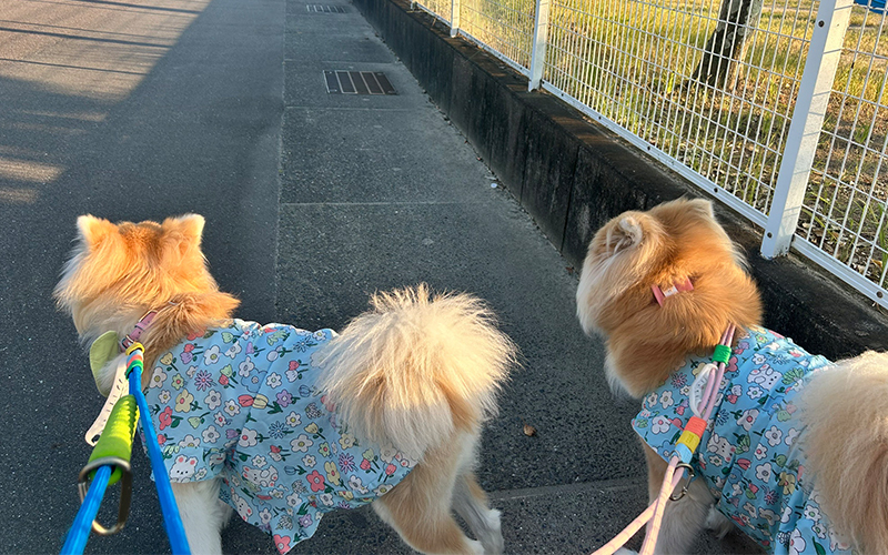 お泊まり日記