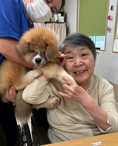 だいふく君