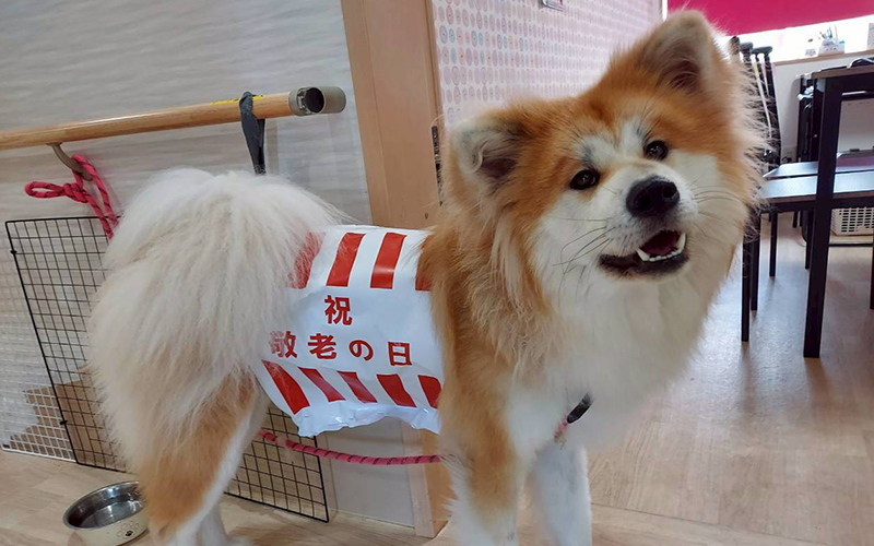 敬老会を開催いたしました