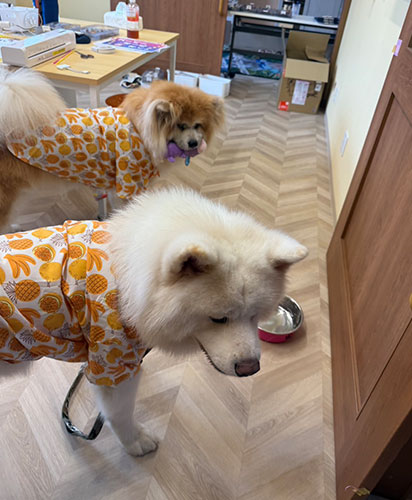 セプションパーティー＆内覧会