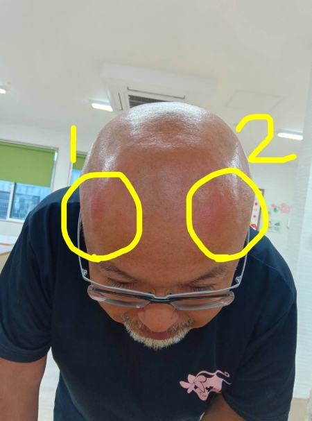秋のクリーン活動