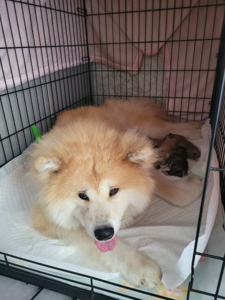 赤ちゃん誕生!感動の瞬間でした。