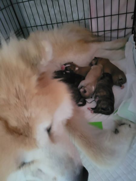 赤ちゃん誕生!感動の瞬間でした。