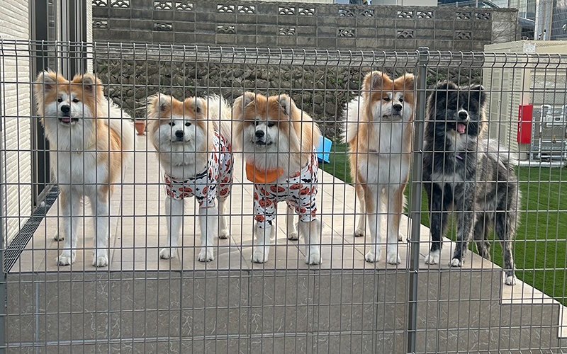 仙台折立 1周年記念パーティー