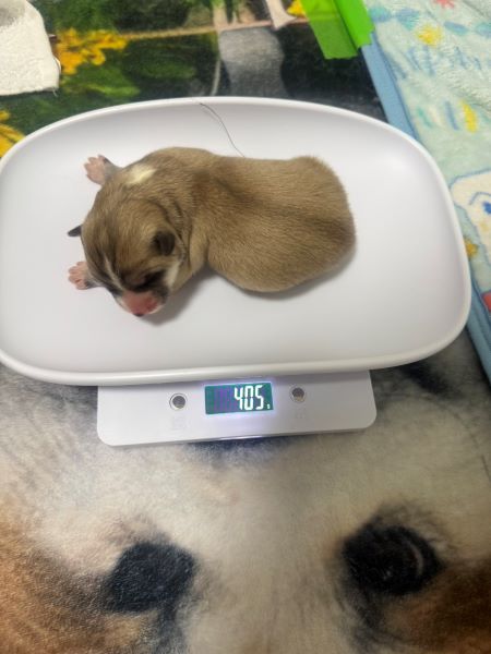 赤ちゃん誕生!感動の瞬間でした。