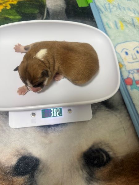 赤ちゃん誕生!感動の瞬間でした。