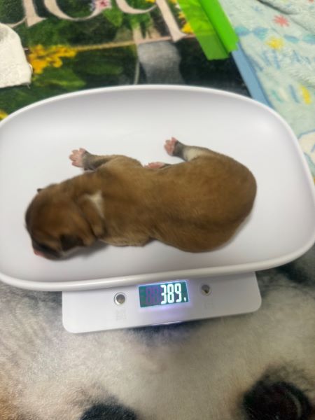 赤ちゃん誕生!感動の瞬間でした。