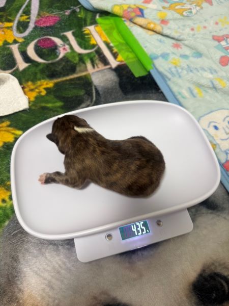 赤ちゃん誕生!感動の瞬間でした。