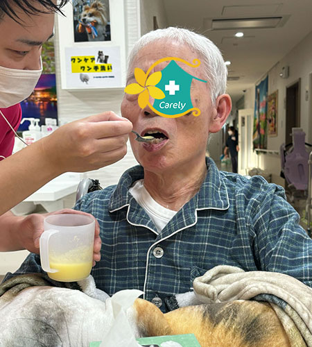 パンバイキング