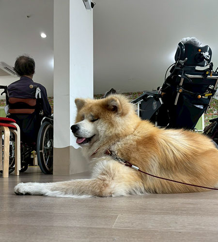 よしぶえ演奏会