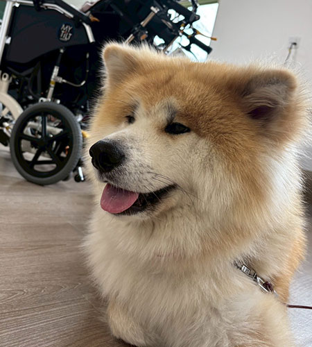 よしぶえ演奏会