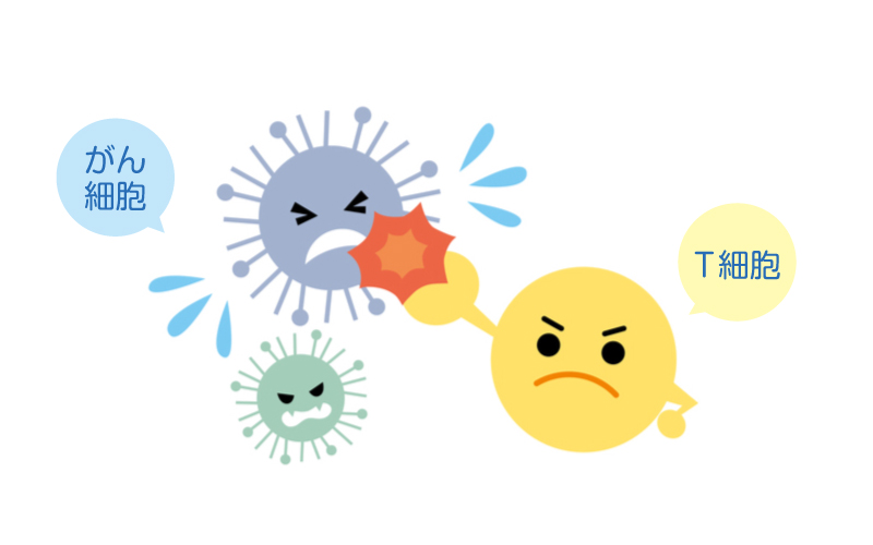 アルファベータT細胞治療