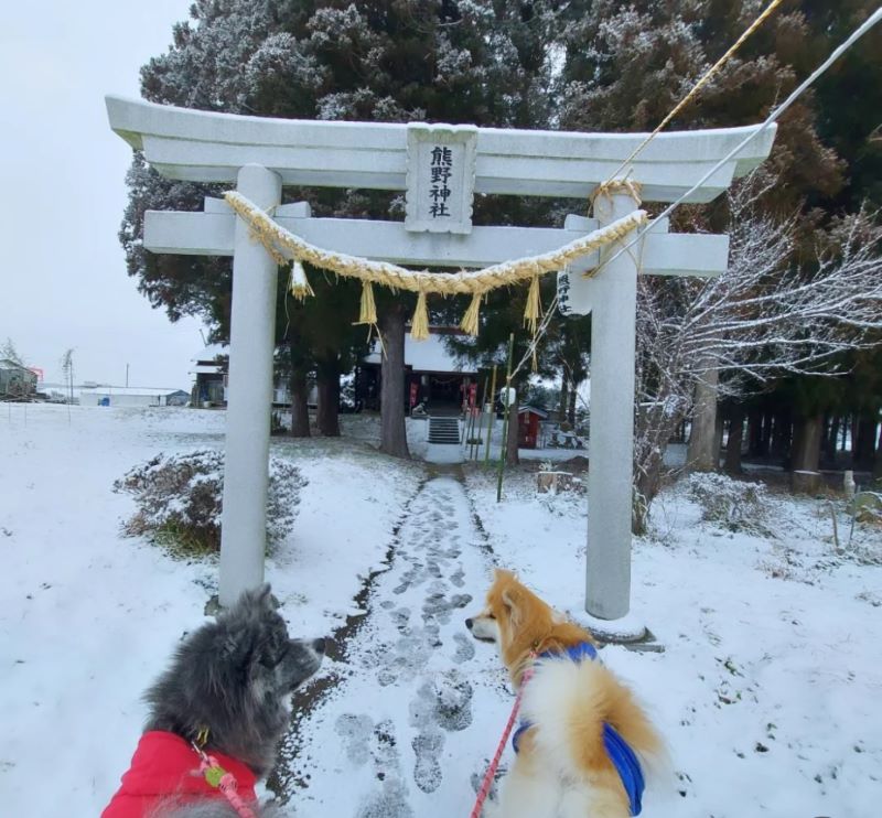 初詣へ行ってまいりました。