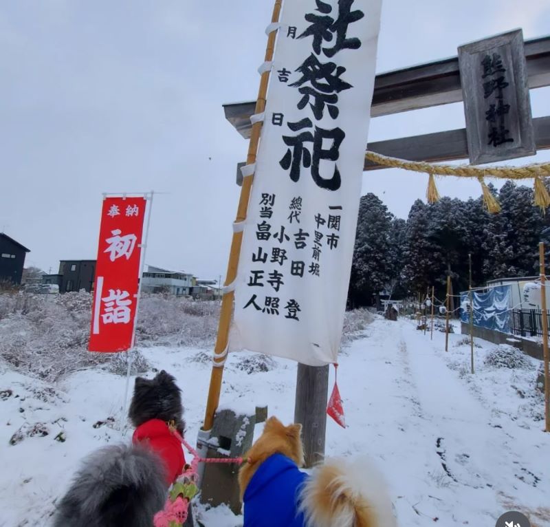 初詣へ行ってまいりました。