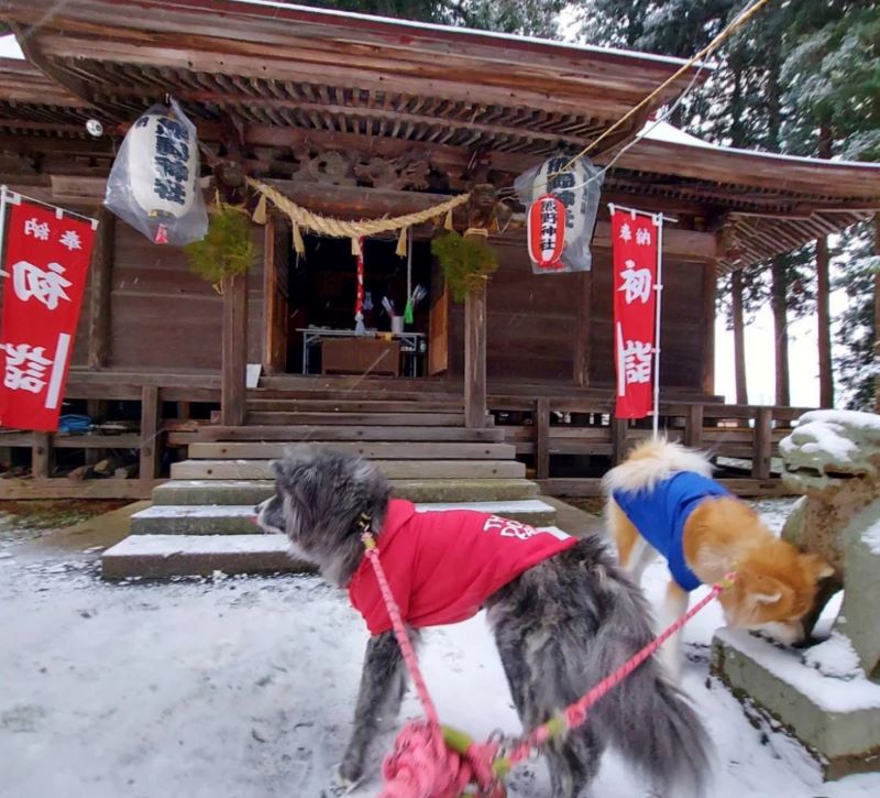 初詣へ行ってまいりました。