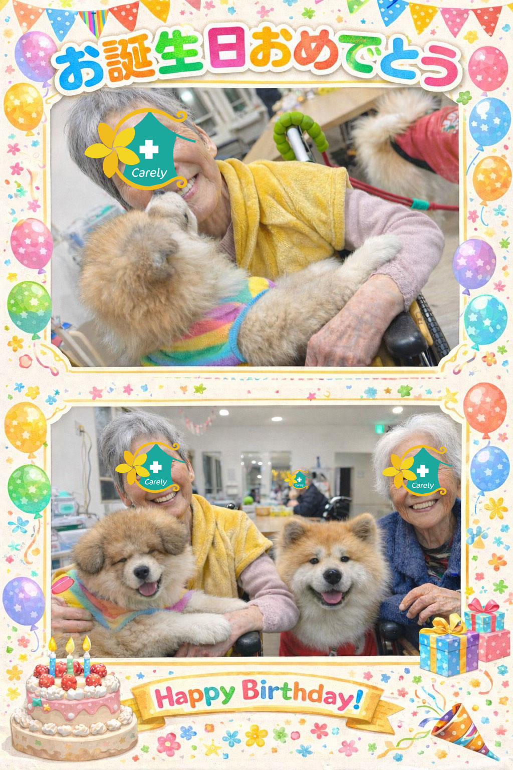 わんちゃんたちの巣立ち