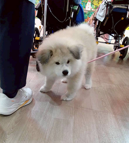 1月イベント開催しました