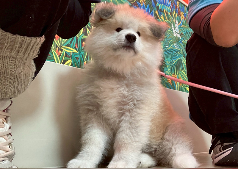 1月イベント開催しました