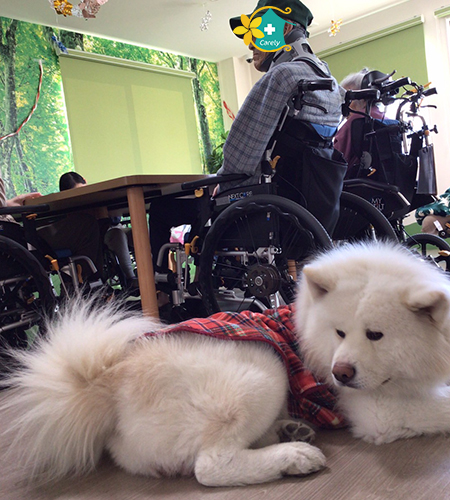 施設内イベントの様子（岐阜下佐波2号館）