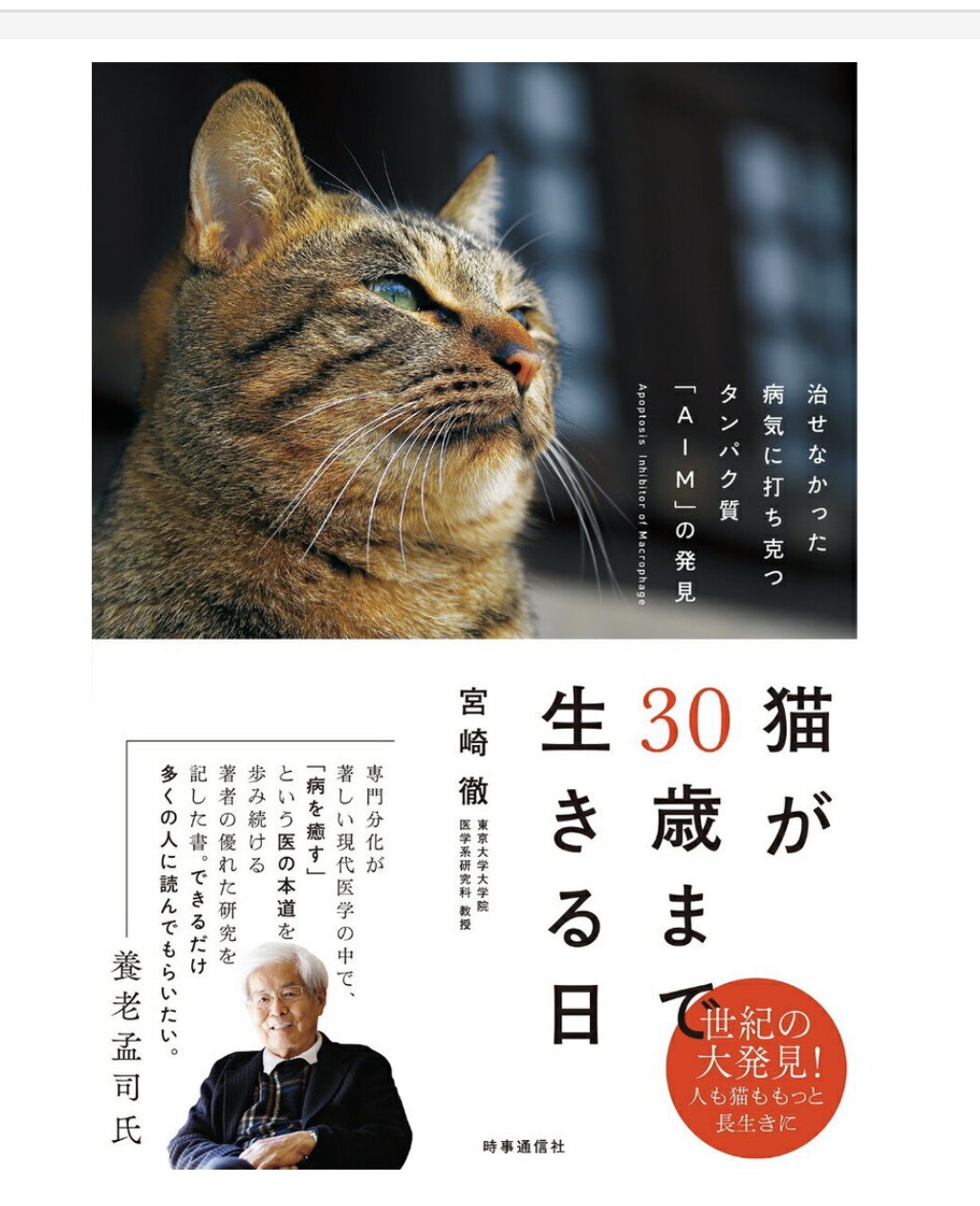 猫が30歳まで生きる日が、目前になりました