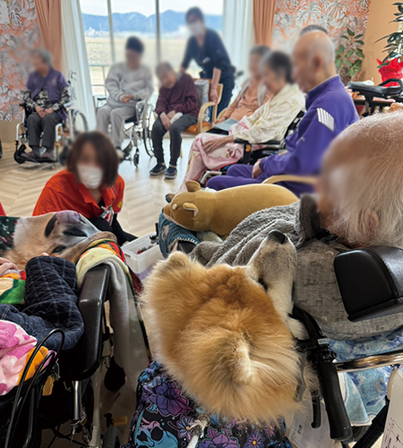 節分とお誕生日のお祝い