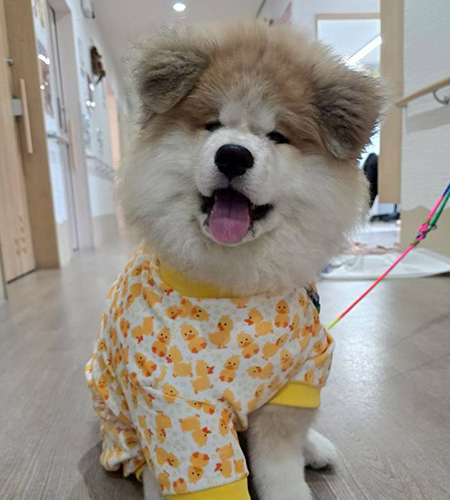 想いを大切にした誕生日会を行いました 