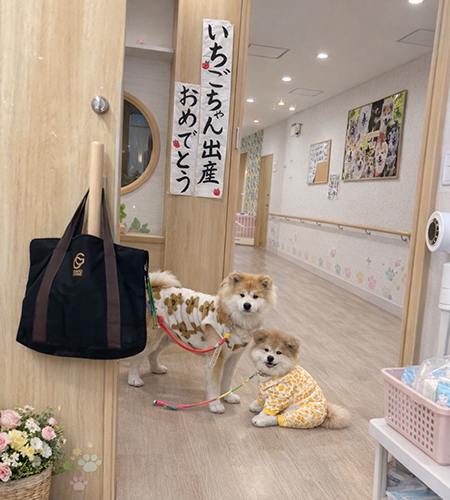 想いを大切にした誕生日会を行いました 