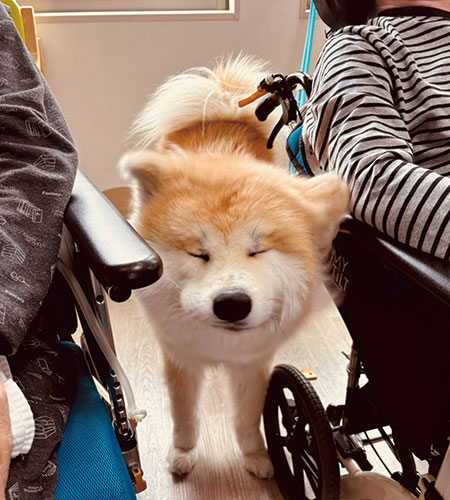 春色パーティ開催🌸