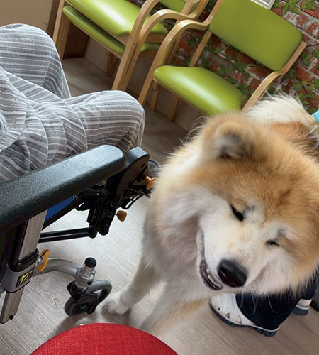 春色パーティ開催🌸