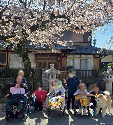 春のやさしいひととき〜お花見日和〜