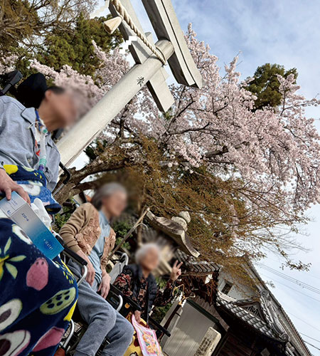 春のやさしいひととき〜お花見日和〜