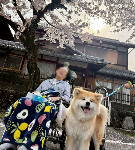 春のやさしいひととき〜お花見日和〜