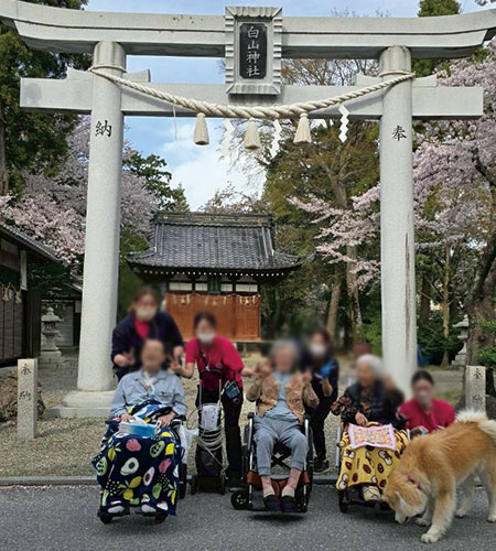 春のやさしいひととき〜お花見日和〜