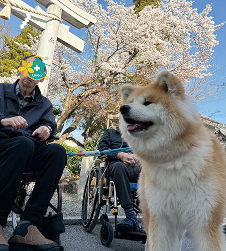 春のやさしいひととき〜お花見日和〜