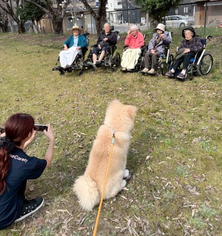 春のやさしいひととき〜お花見日和〜