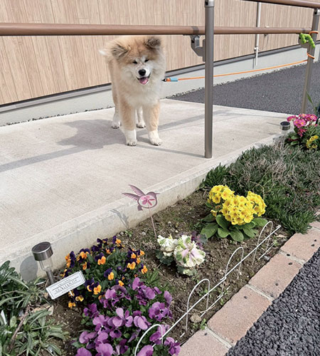 春のやさしいひととき〜お花見日和〜