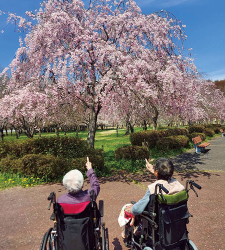 一関 桜イベント